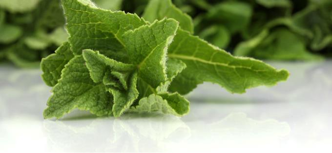 What does complexity mean?